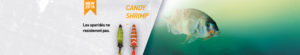 Candy Shrimp Lure